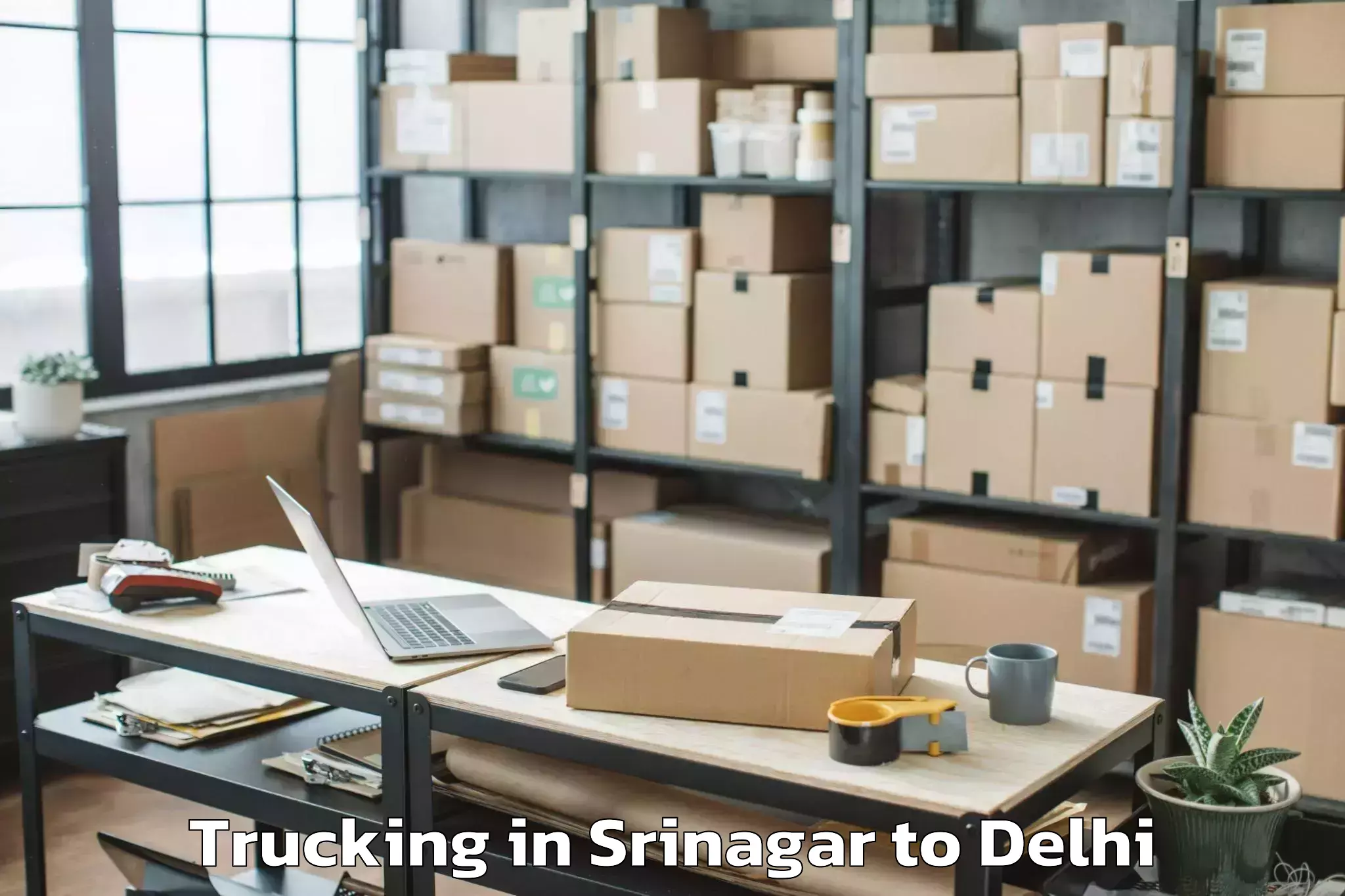 Book Srinagar to Shahdara Trucking Online